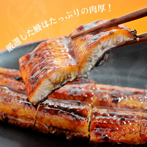 鰻蒲焼き 特大サイズ（約320g） 魚貝類 加工食品 加工品 惣菜 冷凍 秘伝のたれ 肉厚 