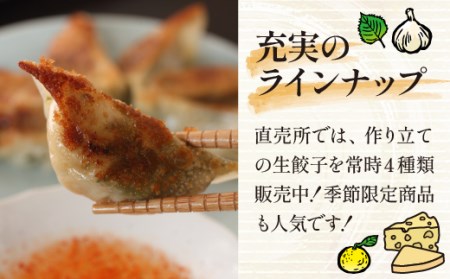 国産 冷凍 生餃子 食べ比べ 5種 計64個 タレ付き 【生餃子専門店ぽんぽこ】 ぎょうざ 餃子 ギョーザ ギョウザ 惣菜 総菜 おかず 弁当 冷凍餃子 冷凍食品 冷食 自宅用 家庭用 仕送り お取り寄せ プレーン チーズ 柚子胡椒 ニンニク 青しそ 詰め合わせ 詰合せ 詰め合せ 詰合わせ セット 人気 おすすめ