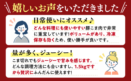 12回定期便 豚肉 こま切れ 1.5kg 訳あり CAG018 豚肉 こま切れ 国産 定期便