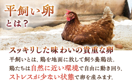 【3回 定期便 】平飼い卵 プリン 冷蔵 ジュリアン プリン 6本  西海市 プリン ぷりん 冷蔵配送 卵 たまご ＜お菓子のいわした＞ [CAM027]