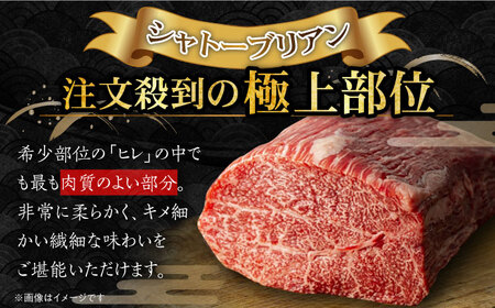 シャトーブリアン 計300g CBA014 シャトーブリアン