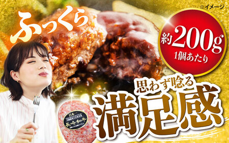 6回定期便 ハンバーグ 10個 CBA030 ハンバーグ 和牛ハンバーグ