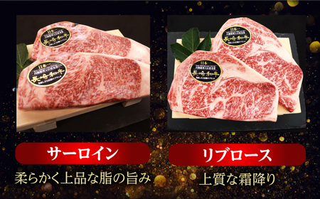 長崎和牛 ステーキ 3種セット＜株式会社 黒牛＞ [CBA109] ヒレ