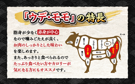 長崎和牛 すき焼き 2種セット計600g＜株式会社 黒牛＞ [CBA110] すき焼き 和牛