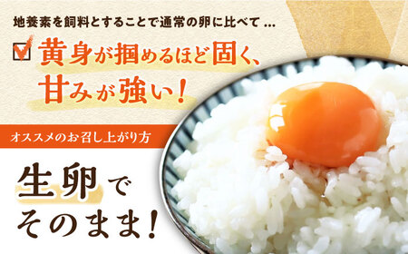 6回定期便 地養卵 Lサイズ 40個 [CBB003] 卵