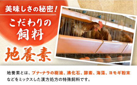 3回定期便 最高級 卵 Mサイズ 計180個（6個×30パック）＜垣山養鶏園＞ [CBB014] 卵