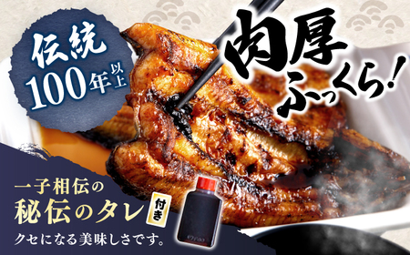 12回定期便 国産 うなぎ 5尾 CCA013 海鮮 鰻 うなぎ 贈答 ギフト ウナギ 鰻 