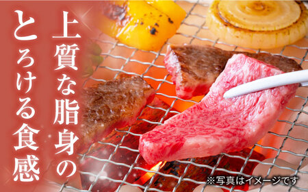 長崎和牛 焼肉 ロース 約1kg＜大西海ファーム＞ [CEK133] 焼肉 BBQ 焼肉 牛肉焼肉 和牛焼肉