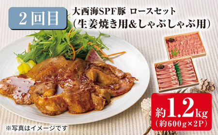 3回定期便 大西海SPF豚 便利 3種セット 総計4.2kg 訳あり ＜大西海ファーム＞ [CEK182] 定期便