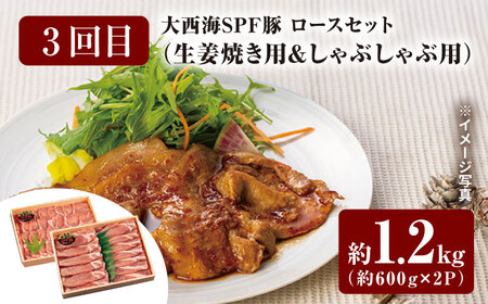 【スタメン揃い！】【6回定期便】 長崎和牛 大西海SPF豚 定期便  訳あり ＜大西海ファーム＞ [CEK185]