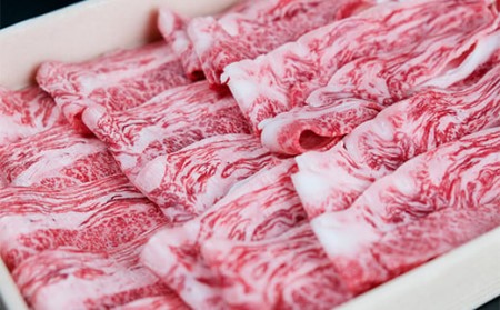 佐賀牛 赤身とバラ肉の切り落とし 800g すき焼き しゃぶしゃぶ 焼肉におすすめ！ 061-J1877