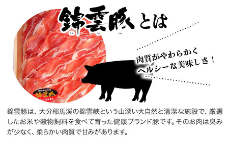 錦雲豚 角煮250g×2 餃子15個入り×2(たれ付き) | 冷凍食品 肉餃子 惣菜 冷凍おかず 冷凍餃子 豚の角煮 大分県産 九州産 中津市 国産 送料無料