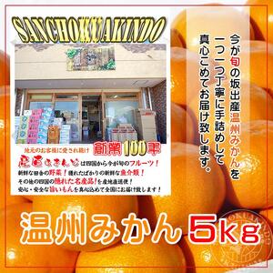 ≪先行受注≫温州みかん 香川産 約5kg ( S ～ Lサイズ ) ｜ みかん 味濃い
