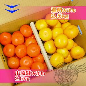 ≪先行受注≫小原紅早生 & 完熟温州 セット 約5kg ( 小原紅早生みかん約2.5kg & 完熟温州みかん約2.5kg ) S ～ Lサイズ ｜ みかん