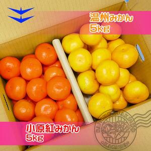 ≪先行受注≫小原紅早生 & 完熟温州 セット 約10kg ( 小原紅早生みかん約5kg & 完熟温州みかん約5kg ) S ～ Lサイズ ｜ みかん