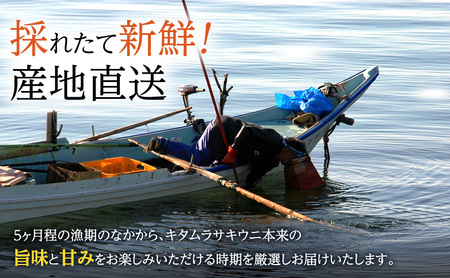 北海道 礼文島産 採れたて ミョウバン不使用 キタムラサキウニ 折詰 200g×1箱［株式会社やまじょう］【 うに ウニ 雲丹 生うに 折うに ムラサキウニ 海鮮 うに丼 濃厚 甘み 贈答 ギフト 】