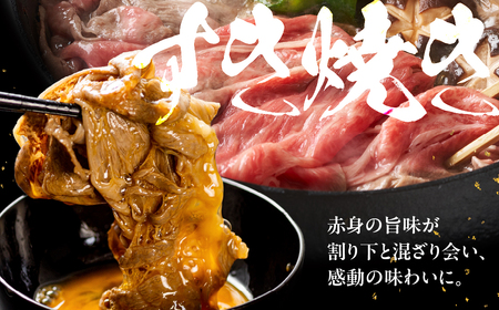 【ふるなび限定】 [A5等級] 飛騨牛モモ すき焼き・しゃぶしゃぶ用 600g [0837] すき焼き トキノ屋食品 FN-Limited-PR