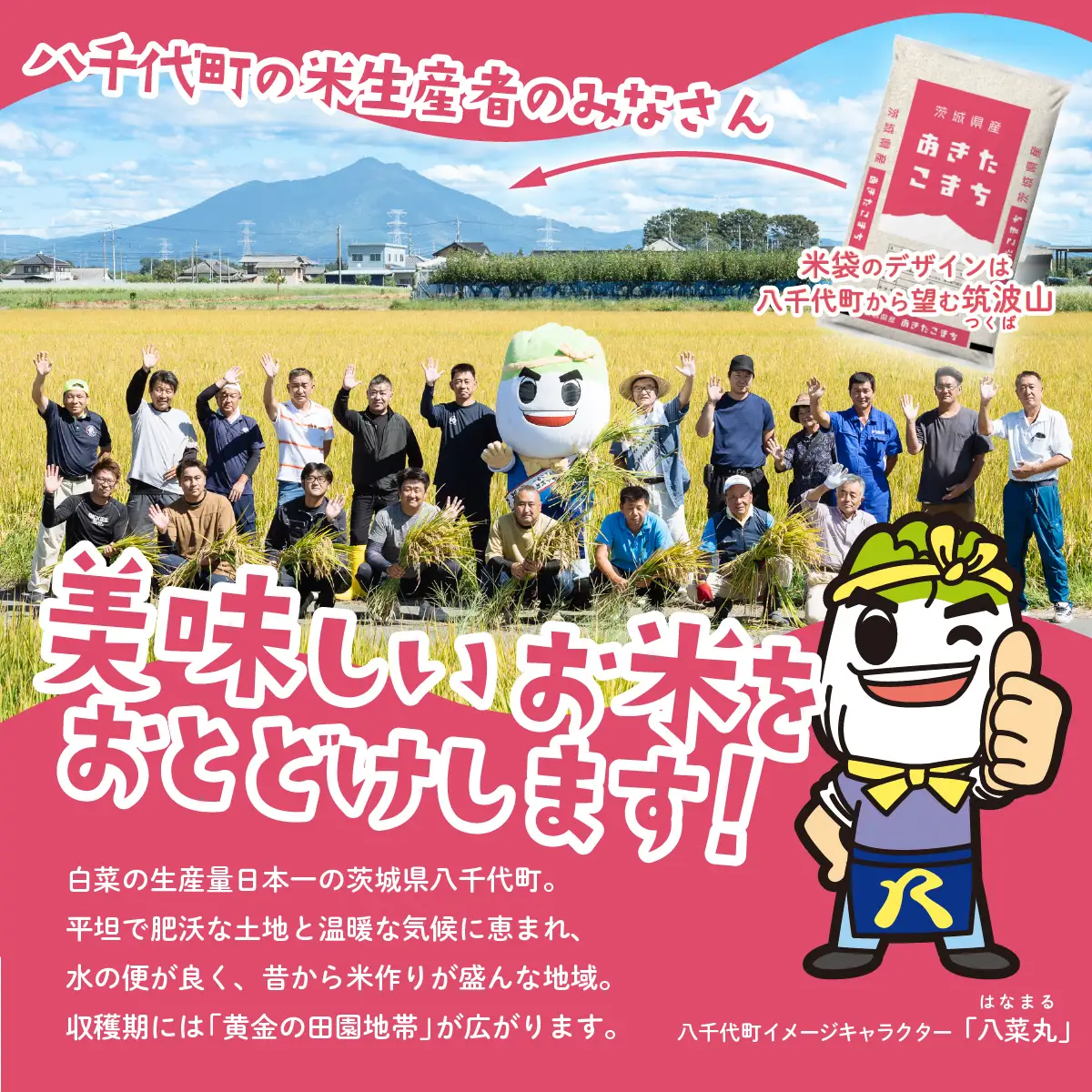 【精米】あきたこまち 10kg スピード発送 白米 10kg (5kg x 2袋) ブランド米 茨城県 八千代町