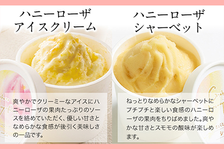 ぎょくとうセレクト アイスアソートセット 12個(全5種)《60日以内に出荷予定(土日祝除く)》 熊本県玉名郡玉東町 すもも ハニーローザ いちご イチゴ いちご しらぬい 不知火 チョコ チョコレート ヨーグルト アイス シャーベット ぷらっとぎょくとう 