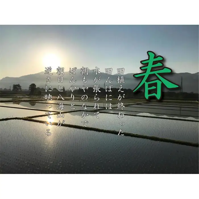【令和7年産】【定期便 南魚沼産】コシヒカリ 白米5kg×12回【定期便 銘柄米 ブランド米 精米 こしひかり コシヒカリ 魚沼産 新潟米 産地直送 お米 米 こめ コメ ご飯 御飯 ごはん】