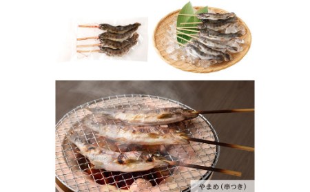 阿蘇から届く かわべの湧水やまめ (内臓処理済8匹・串8匹)