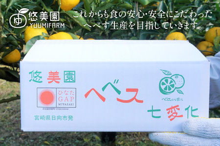 【期間限定発送】 おひさまへべす ひなたGAP認定 ふぞろい 2kg [へべすの悠美園 宮崎県 日向市 452060723]