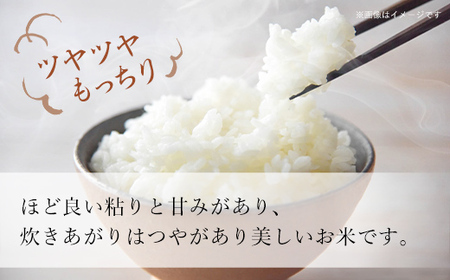 【令和7年産】北海道厚沢部産ゆめぴりか5kg ASG002