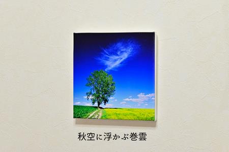 写真家　阿部俊一　キャンバスプリント(273mm × 273mm)[036-28]