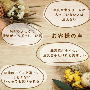  【ジェラート】玄米ジェラート12個 ヴィーガン アイス グルテンフリー【175】