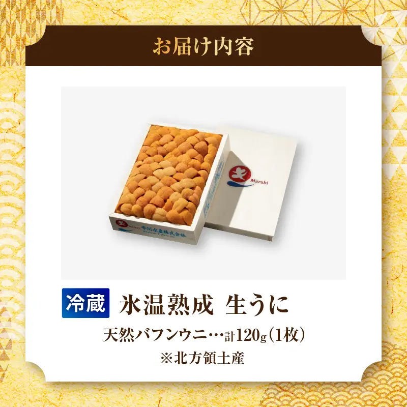 生折うに 120g×1枚 うに 冷蔵_H0009-101