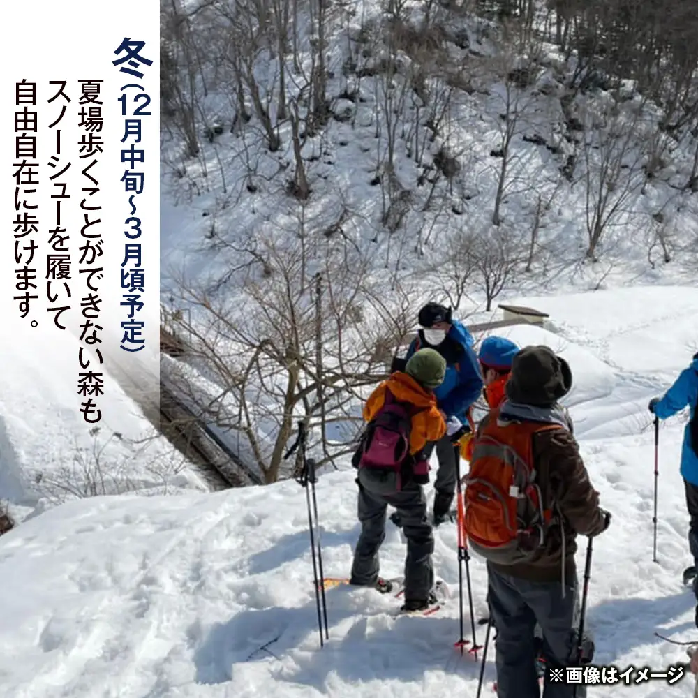 黒松内町観光協会「北限のブナ林ガイドウォーク」(1時間半)２名様 体験チケット