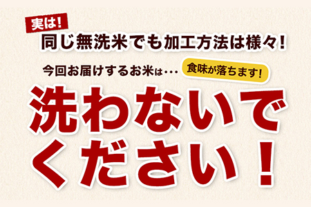 無洗米 さとほまれ 15kg ご家庭用 ｜ 無洗