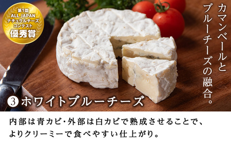 トワ・ヴェールのおすすめ人気チーズ4種セット(4品) 工場直送