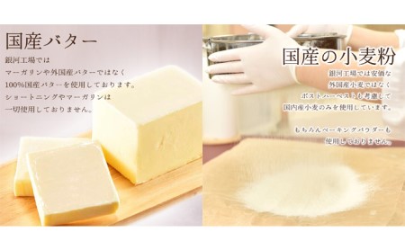 クッキー缶 銀河 クッキー ネコとリス缶 無添加 バタークッキー チョコクッキー