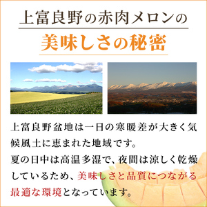 【令和8年産】ふらの 赤肉メロン 秀品 Lサイズ 1.6kg～1.9kg 2玉 セット ファーム富良野 メロン めろん 果物 くだもの フルーツ デザート 北海道 北海道上富良野町 