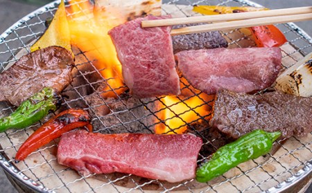 赤城和牛食べ比べ焼肉 たれ付き 銘柄牛 焼肉 カルビ カイノミ ササミ ウチハラミ 希少部位 贈り物 ギフト セット F4H-0100