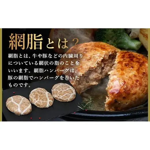 石垣島産 やえやまファームのアグー豚（南ぬ豚）網脂 ハンバーグ ≪6個セット≫ E-9-1 