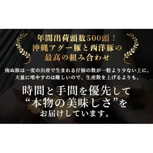 石垣島産 やえやまファームのアグ―豚（南ぬ豚）ハンバーグ10個セット 　E-8-1