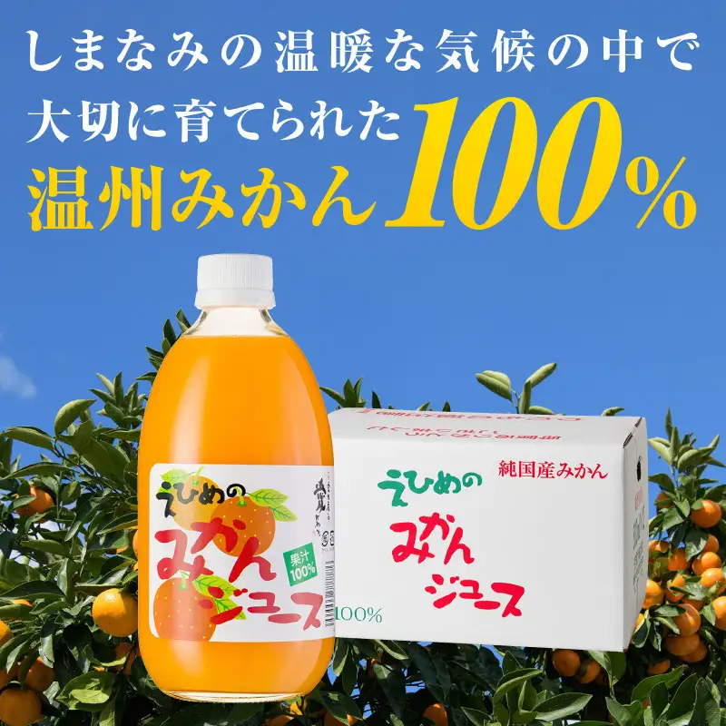 愛媛のみかんジュース(伯方果汁伯方町) 500ｍl×12本