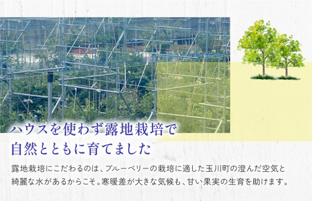 森のともだち農園　冷凍ブルーベリー（スタンディングパック）１５０ｇ×３パック【V003270P3】