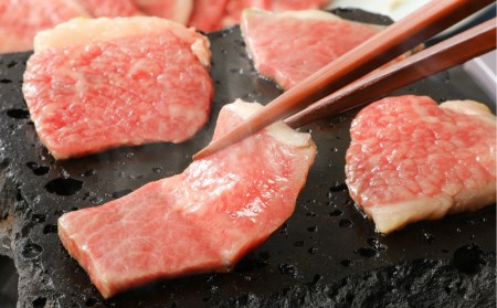 伊万里牛ファミリーコース 定期便 3回便 （すき焼き しゃぶしゃぶ ハンバーグ 焼肉） 999-J602