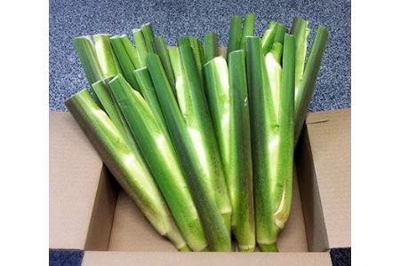 しまなみの野菜と果物セット(1箱)(森のともだち農園玉川町) [VC00890]