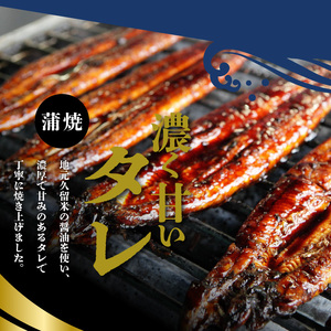うなぎの蒲焼 2尾セット（特大サイズ 一尾 170g～200g）_うなぎ 蒲焼 2尾 セット 特大サイズ 一尾170g～200g たれ付き 鰻専門問屋 樋口商店 鹿児島 宮崎 国産 ジャポニカ種 真空パック ギフト お取り寄せ グルメ うな丼 うな重 ひつまぶし お土産 手土産 贈り物 プレゼント お中元 職人 送料無料 〔Cu001〕