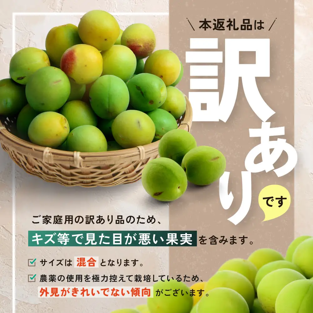 家庭用 紀州南高梅(青梅)3kg+250g（傷み補償分）【梅干し・梅ジュース】【訳あり】［IKE112］