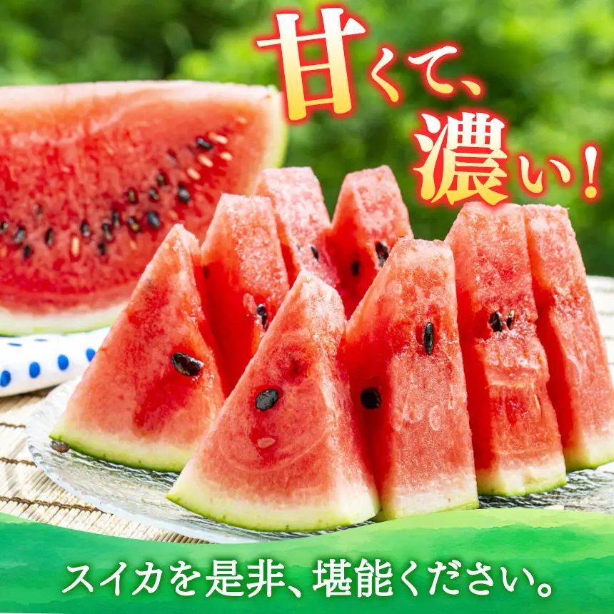 小玉 スイカ （ 赤色 ）2玉 熊本県和水町産 【2026年（令和8年）4月中旬頃から順次出荷予定】  すいか 西瓜
