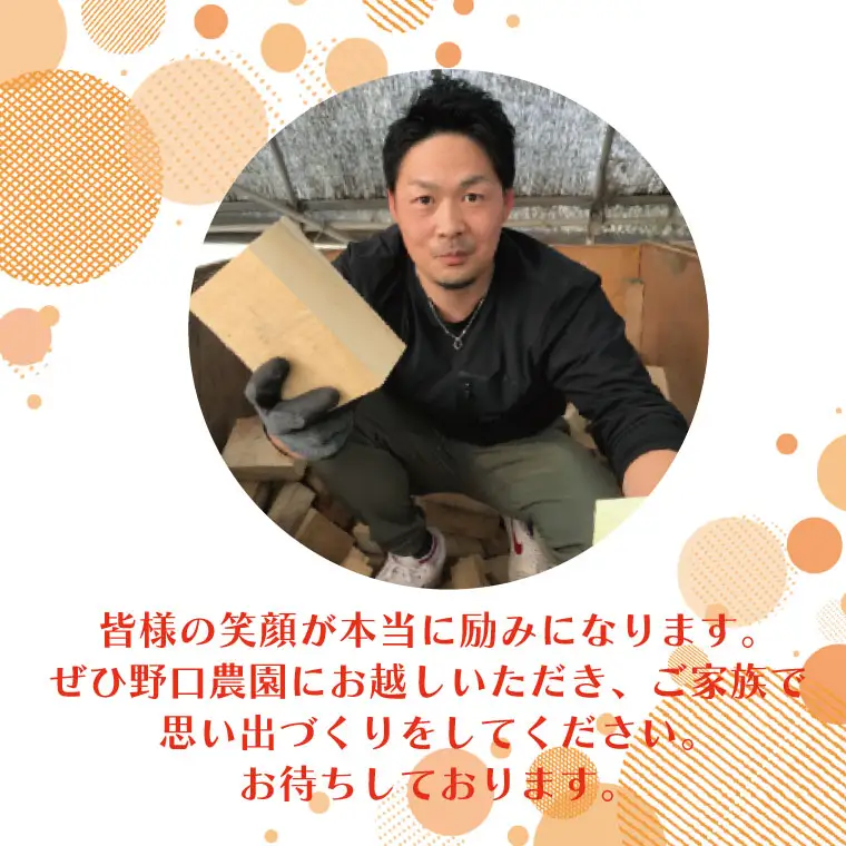 BC002-1　薪　ホワイトアッシュ　BBQ・焚き火用　30kg