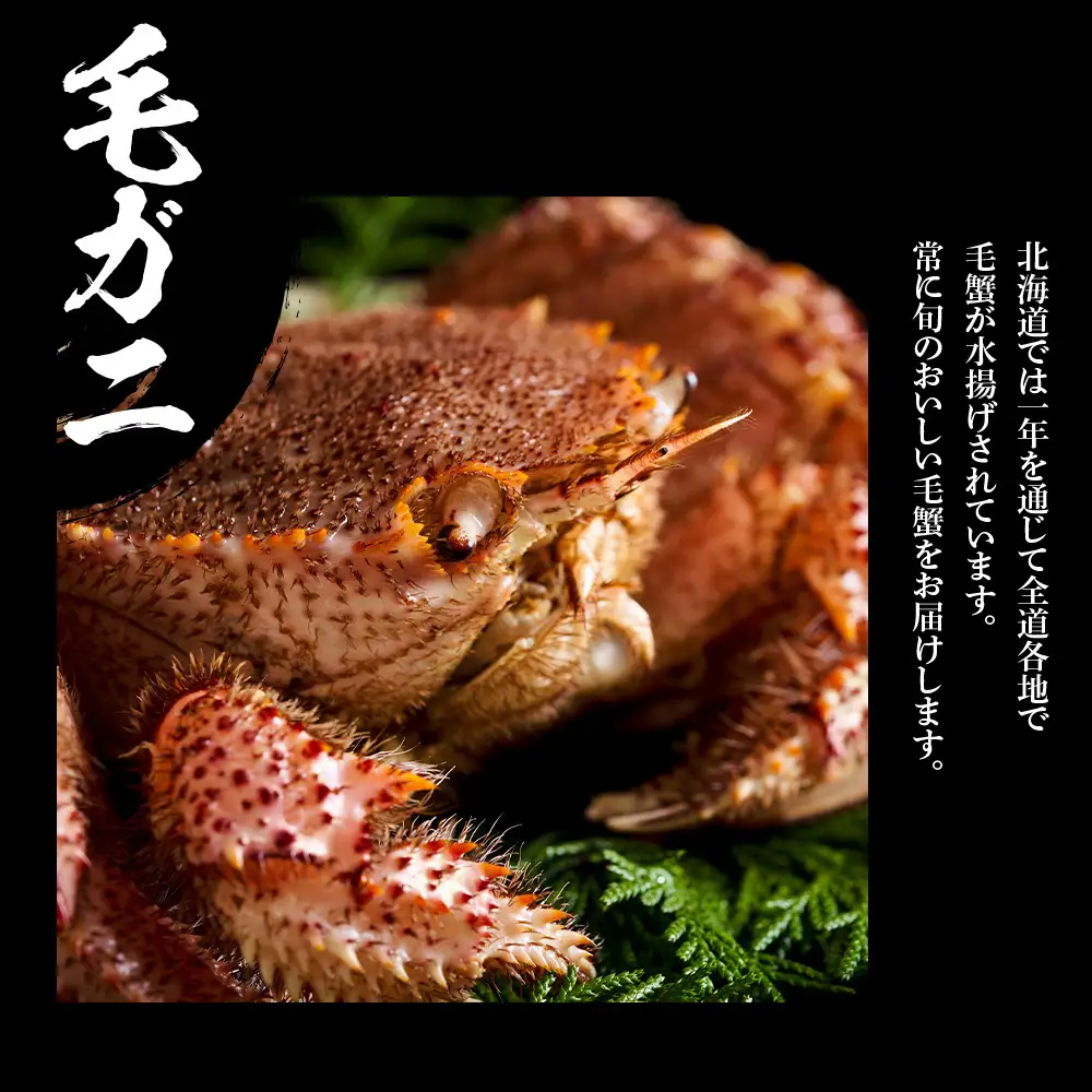 訳あり ズワイ姿 & 毛蟹 食べ比べ セット BM321