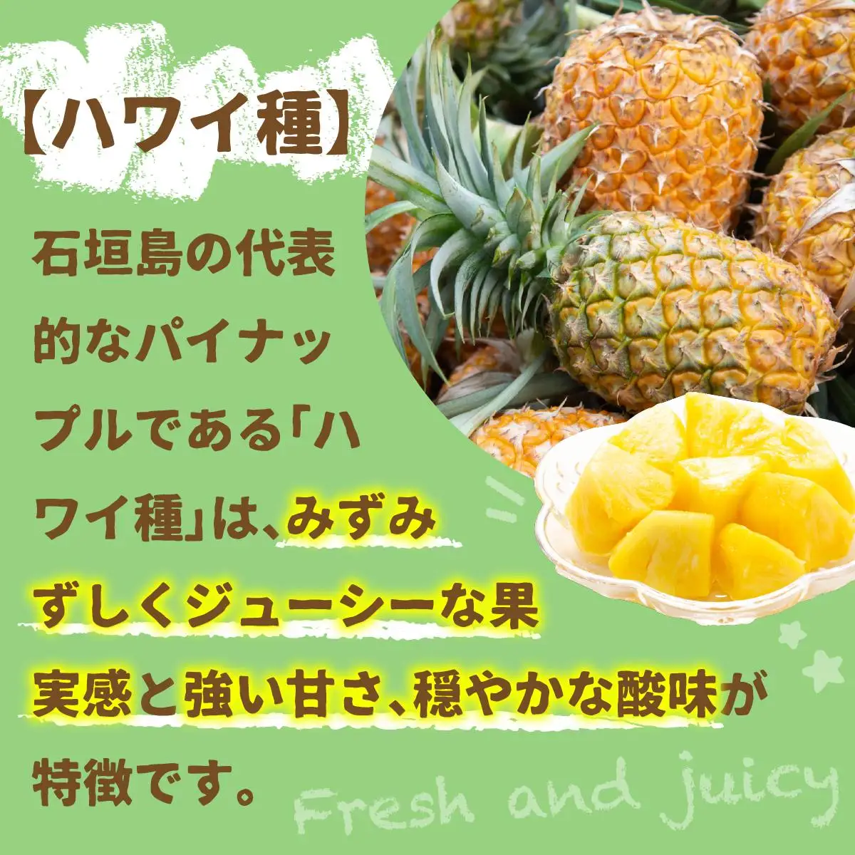 石垣パイン ハワイ種 3個セット
