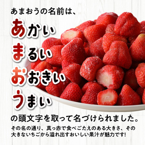 福岡県産 冷凍あまおう 2000g（500g×4パック）_いちご 冷凍 あまおう 合計約2000g 約500g × 4パック ヨーグルト アイス ジャム スムージー 果汁 福岡県産 果物 フルーツ スイーツ 久留米市 お取り寄せ 送料無料 〔Fi210〕