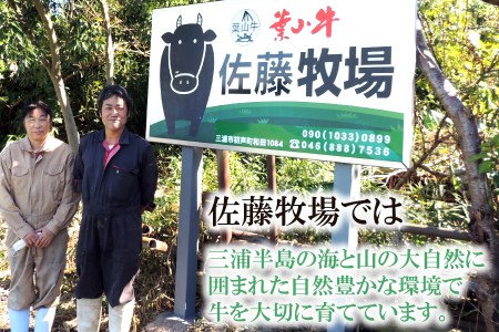 【 神奈川県産 黒毛和牛 】 三浦市 の 佐藤牧場 が育てた 葉山牛 満腹セット （ 切落し ＋ 肩ロース ） M079-009 肉 牛肉 冷凍
